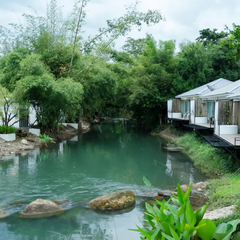 The Chamuang Forest Resort นครนายก ที่พักหมาพักได้ Pet Friendly ติดลำธาร ใกล้น้ำตกสาริกา