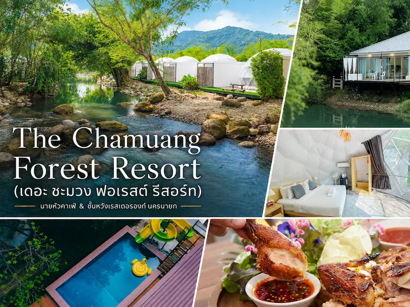 ที่พักนครนายกติดน้ําตก ที่พักติดลำธาร สุนัขเข้าพักได้ พาหมาเที่ยวน้ำตกกัน