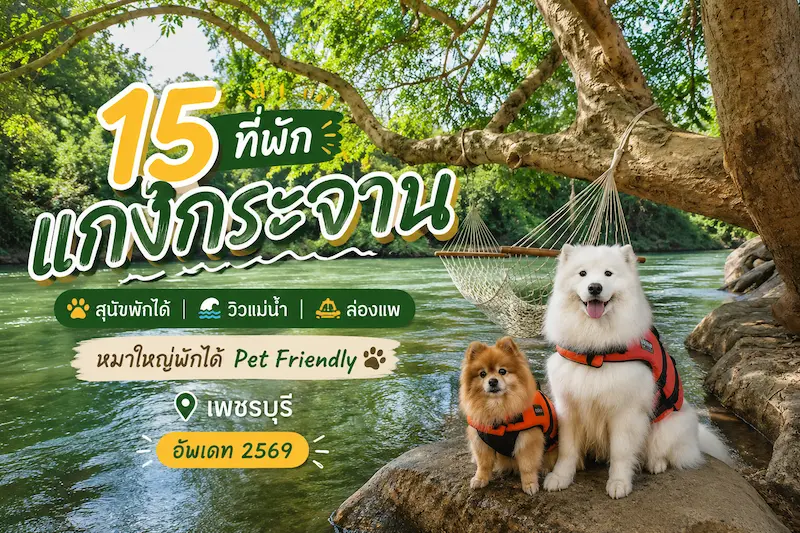 ที่พักแก่งกระจาน สุนัขพักได้ วิวแม่น้ำสวย ๆ ปี2569 | หมาเล็กหมาใหญ่ก็มาได้