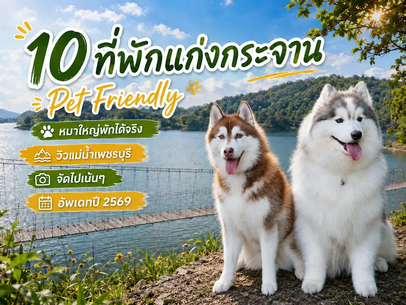 10 ที่พักแก่งกระจาน Pet Friendly หมาใหญ่พักได้จริง วิวแม่น้ำเพชรบุรี 2569 จัดไปเน้นๆ