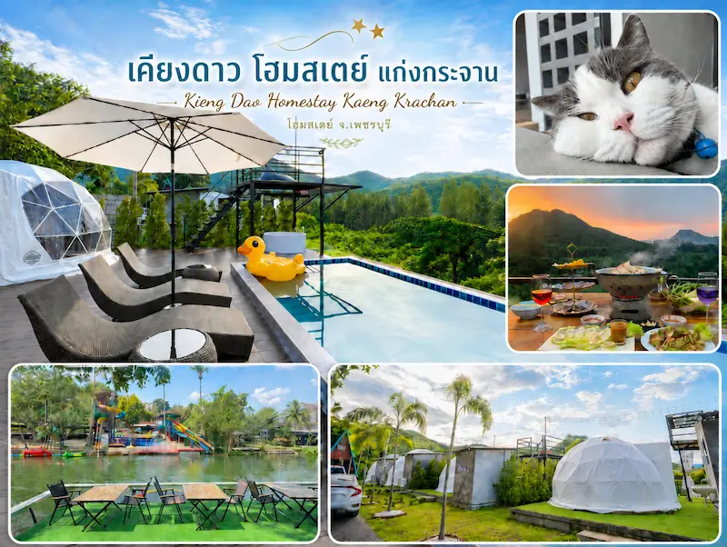 10 ที่พักแก่งกระจาน Pet Friendly หมาใหญ่พักได้จริง วิวแม่น้ำเพชรบุรี 2569 จัดไปเน้นๆ