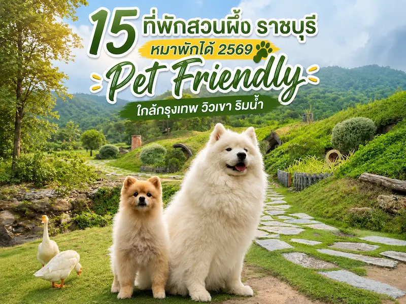 15 ที่พักสวนผึ้ง ราชบุรี หมาพักได้ 2569 Pet Friendly ใกล้กรุงเทพ วิวเขา ริมน้ำ