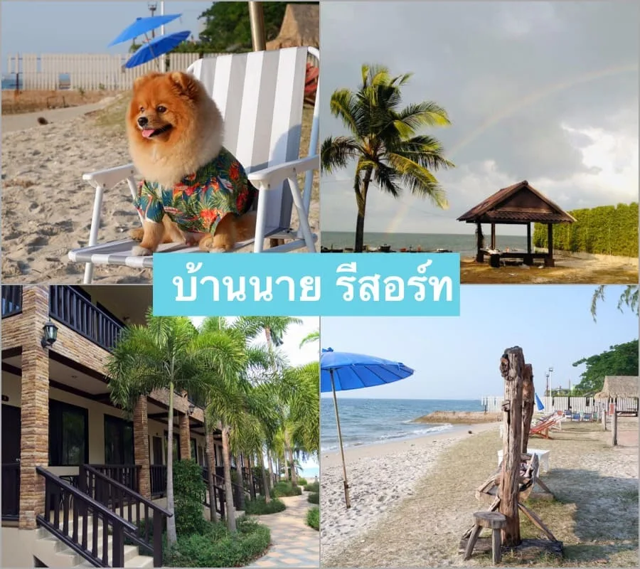 20 ที่พักบางแสน หมาพักได้ “หมาใหญ่พักได้จริง” วิวทะเล อัปเดต 2569