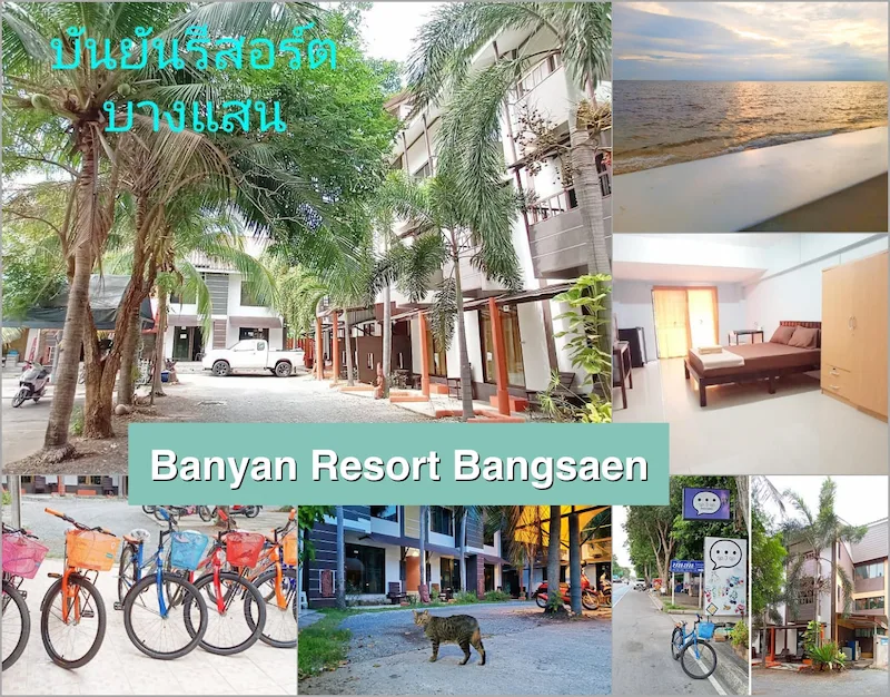 20 ที่พักบางแสน หมาพักได้ “หมาใหญ่พักได้จริง” วิวทะเล อัปเดต 2569
