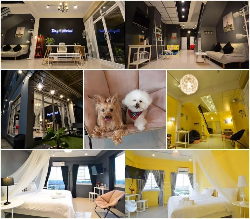 20 ที่พักบางแสน หมาพักได้ “หมาใหญ่พักได้จริง” วิวทะเล อัปเดต 2569