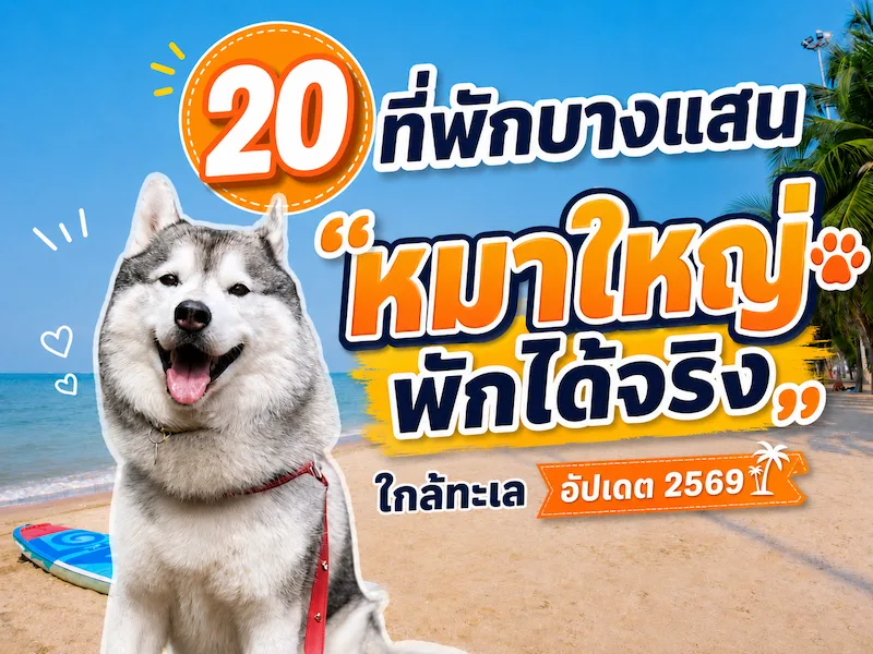 20 ที่พักบางแสน หมาพักได้ “หมาใหญ่พักได้จริง” วิวทะเล 