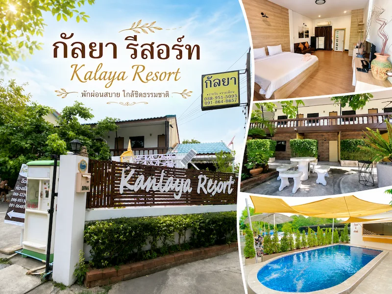 30 ที่พักบางแสน หมาพักได้จริง ใกล้ทะเล หมาใหญ่พักได้ 