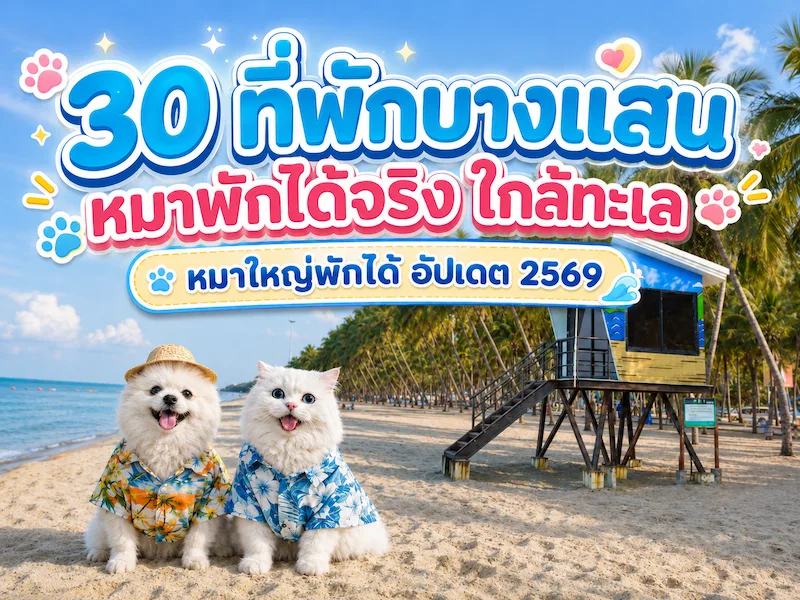 30 ที่พักบางแสน หมาพักได้จริง ใกล้ทะเล หมาใหญ่พักได้ 