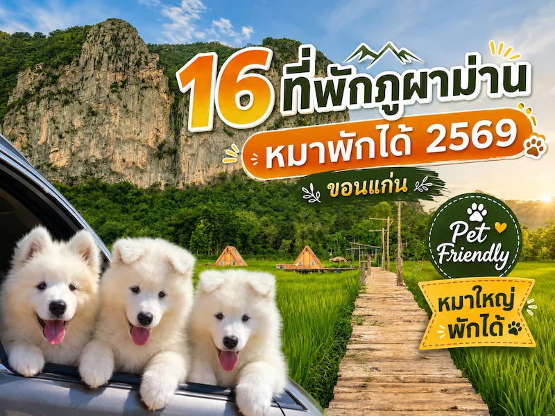 16 ที่พักภูผาม่าน ขอนแก่น Pet Friendly (หมา/แมว) หมาใหญ่พักได้ 2569
