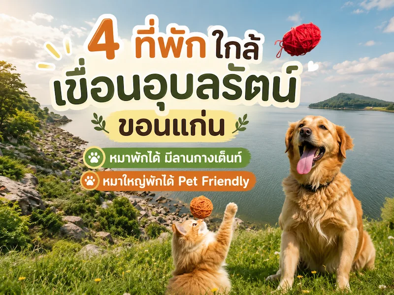 4 ที่พักใกล้เขื่อนอุบลรัตน์ ขอนแก่น หมาพักได้ มีลานกางเต็นท์ หมาใหญ่พักได้