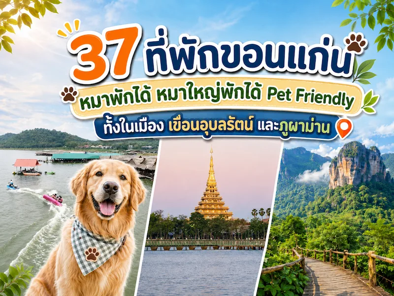 37 ที่พักขอนแก่น หมาพักได้ หมาใหญ่พักได้ Pet Friendly ทั้งในเมือง เขื่อนอุบลรัตน์ และภูผาม่าน