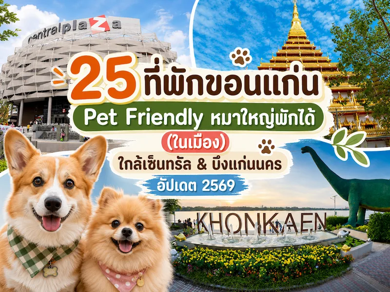 25 ที่พักขอนแก่น Pet Friendly หมาใหญ่พักได้ (ในเมือง) ใกล้เซ็นทรัล & บึงแก่นนคร อัปเดต 2569