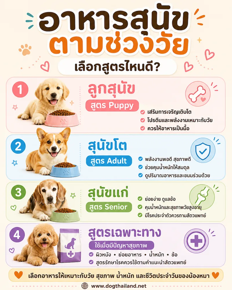 อาหารสุนัขตามช่วงวัย เลือกสูตรไหนดี ลูกสุนัข สุนัขโต สุนัขแก่ และสูตรอาหารเสริม