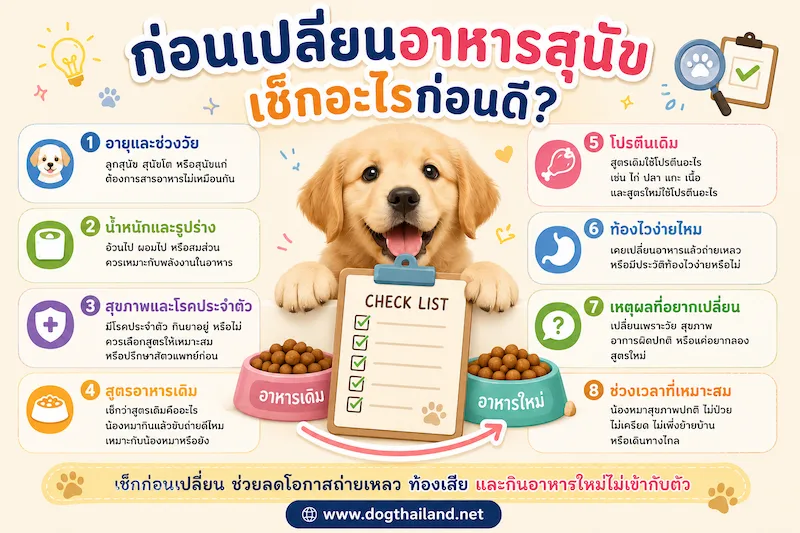 ก่อนเปลี่ยนอาหารสุนัข ควรทำอย่างไร เช็กอะไรบ้างให้น้องหมาไม่ท้องเสีย