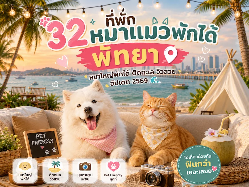 32 ที่พักหมาพักได้ พัทยา ติดทะเล หมาใหญ่พักได้