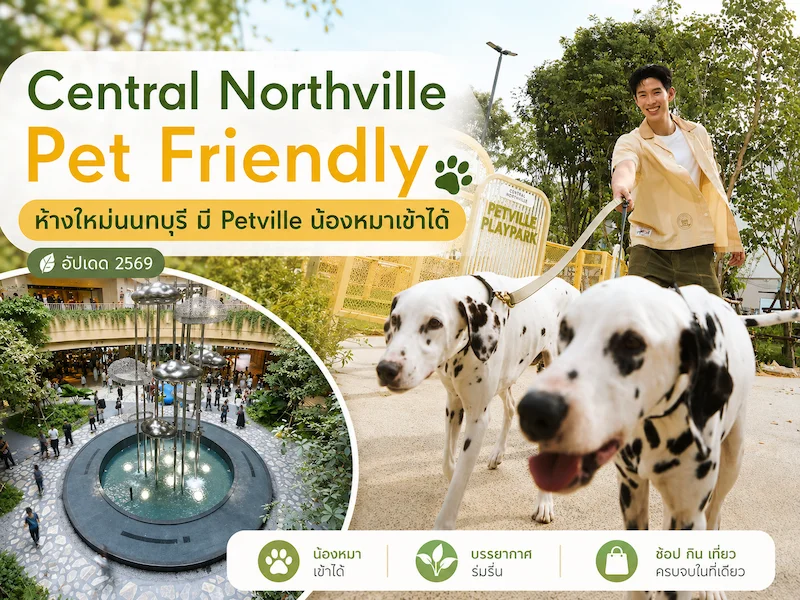 Central Northville Pet Friendly ห้างใหม่นนทบุรี มี Petville Pet Park น้องหมาเข้าได้ไหม อัปเดต 2569