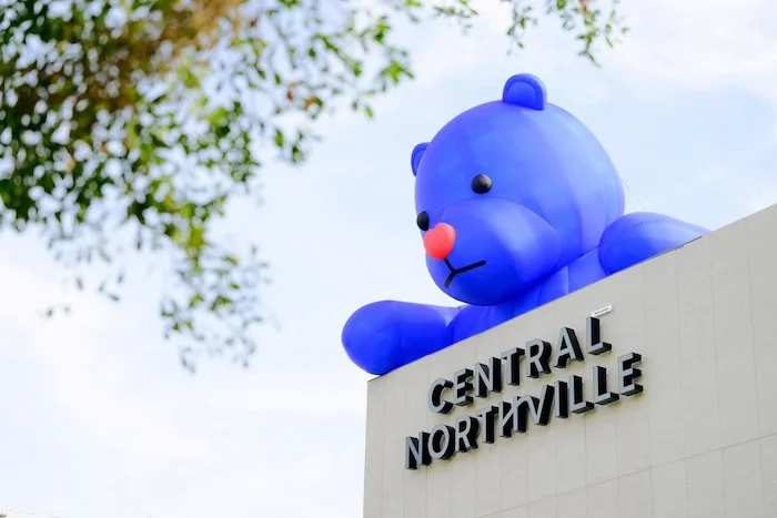 Central Northville Pet Friendly ห้างใหม่นนทบุรี มี Petville Pet Park น้องหมาเข้าได้ไหม อัปเดต 2569