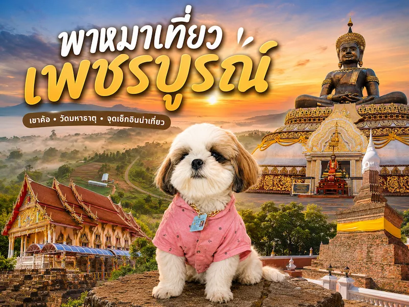 ที่พักเพชรบูรณ์หมาพักได้