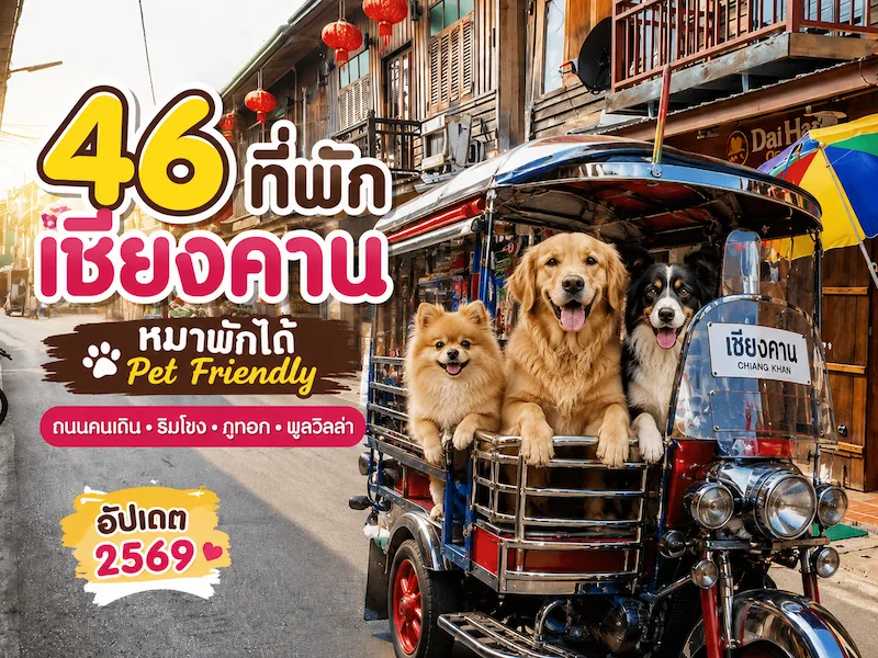 46 ที่พักเชียงคาน หมาพักได้ Pet Friendly อัปเดต 2569 | หมาใหญ่พักได้ ริมโขง ถนนคนเดิน ภูทอก