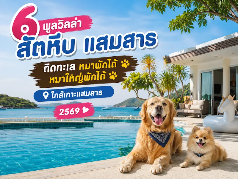 6 พูลวิลล่า สัตหีบ แสมสาร ติดทะเล หมาพักได้ หมาใหญ่พักได้ ใกล้เกาะแสมสาร 2569