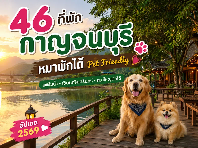 46 ที่พักกาญจนบุรีหมาพักได้ Pet Friendly แพริมน้ำ เขื่อนศรีนครินทร์ หมาใหญ่พักได้ อัปเดต 2569