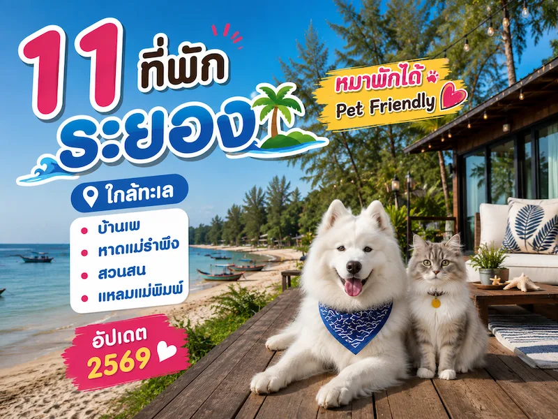 11 ที่พักระยอง หมาพักได้ Pet Friendly ใกล้ทะเล บ้านเพ หาดแม่รำพึง สวนสน แหลมแม่พิมพ์ อัปเดต 2569