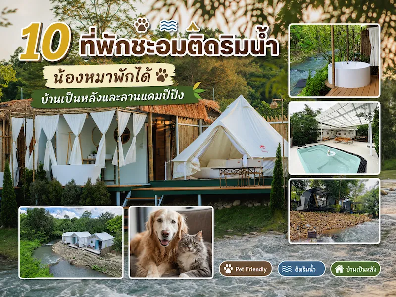 10 ที่พักชะอม ติดริมน้ำ Pet Friendly บ้านเป็นหลัง แคมป์ปิ้ง หมาใหญ่พักได้บางแห่ง อัปเดต 2569