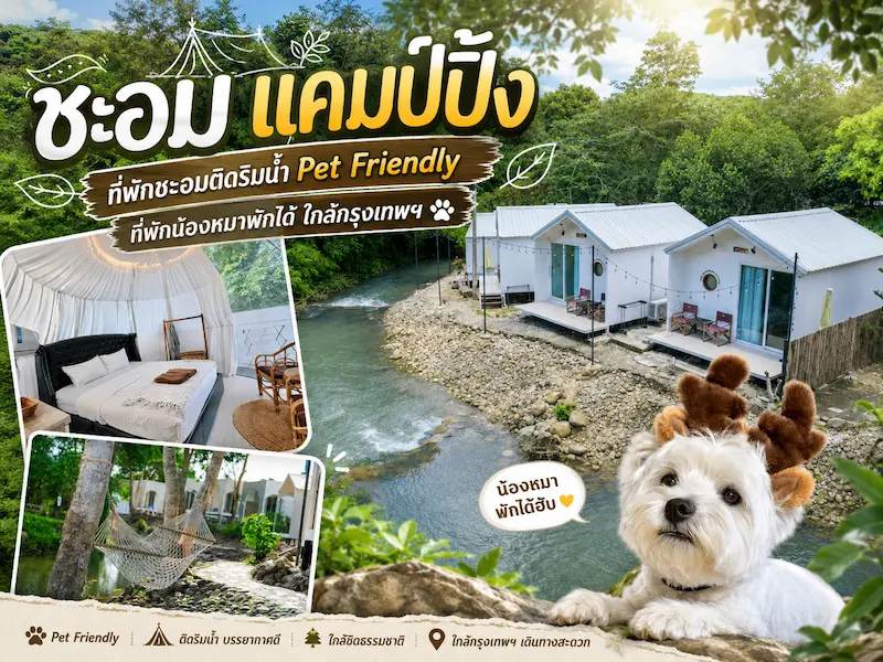 chaom-camping-pet-friendly-riverside-dog-friendly.webp