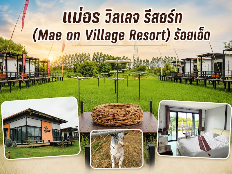 11 ที่พักร้อยเอ็ด หมาแมวพักได้ ในเมือง ใกล้บึงพลาญชัย Pet Friendly อัปเดต 2569