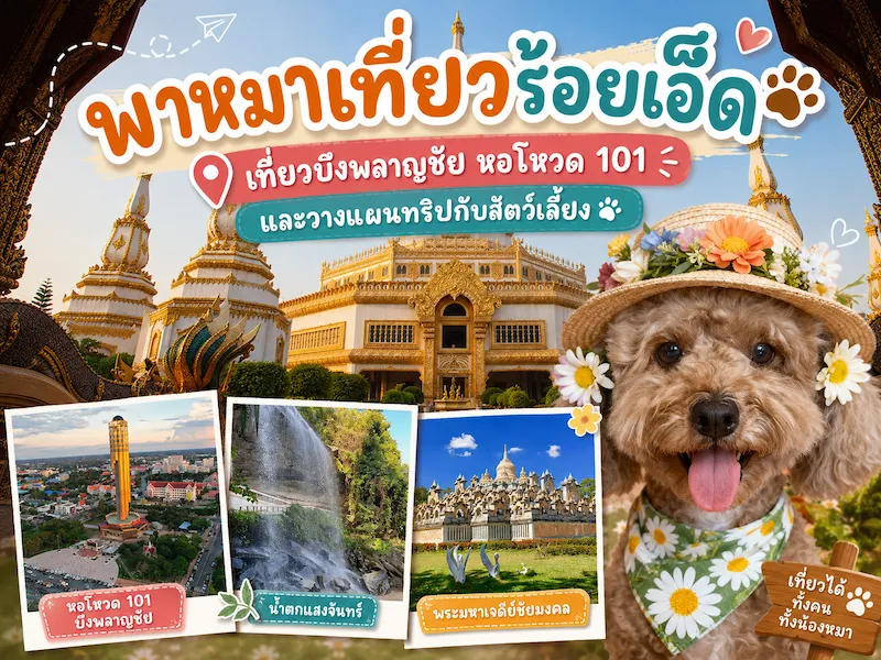 พาหมาเที่ยวร้อยเอ็ด 2569 ที่เที่ยวใกล้บึงพลาญชัย หอโหวด 101 พร้อมโซนพัก Pet Friendly