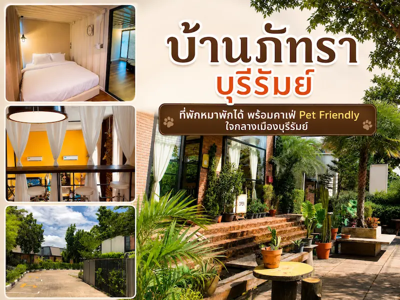 บ้านภัทรา บุรีรัมย์ ที่พักหมาพักได้ พร้อมคาเฟ่ Pet Friendly ใจกลางเมืองบุรีรัมย์ อัปเดต