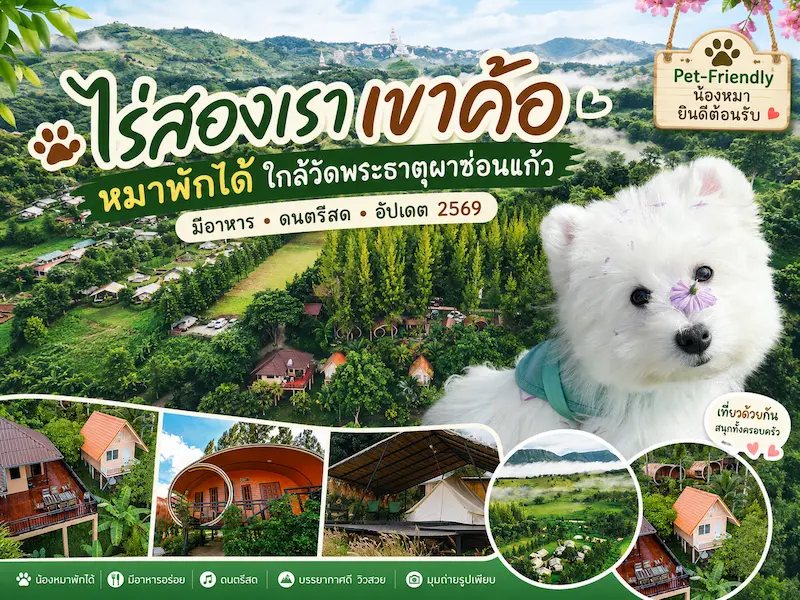 ไร่สองเรา เขาค้อ หมาพักได้ ใกล้วัดพระธาตุผาซ่อนแก้ว มีอาหาร ดนตรีสด อัปเดต 2569