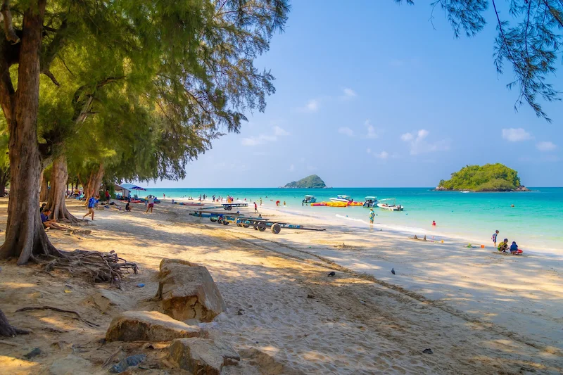พาหมาเที่ยวสัตหีบมัดรวมหาดน้ำใส คาเฟ่ ทริปเรือ Pet Friendly ใกล้กรุงเทพ