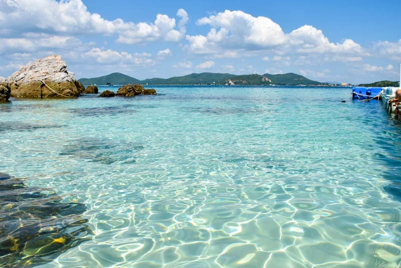 พาหมาเที่ยวสัตหีบมัดรวมหาดน้ำใส คาเฟ่ ทริปเรือ Pet Friendly ใกล้กรุงเทพ