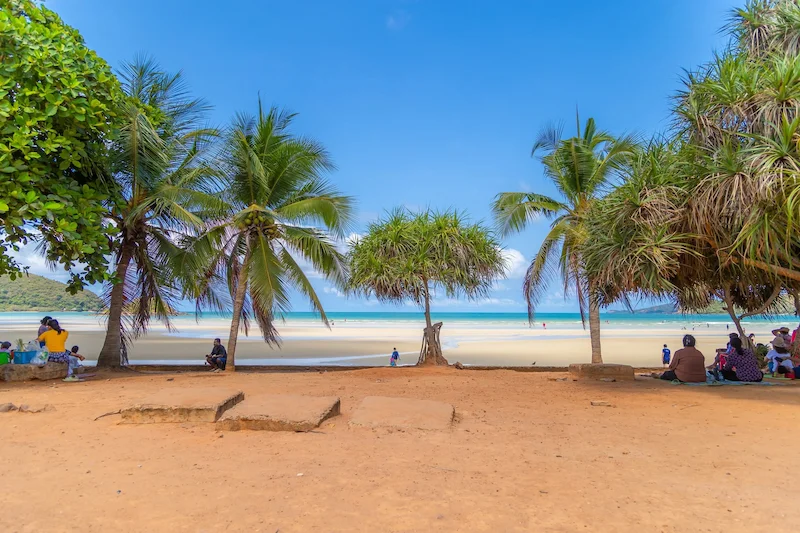พาหมาเที่ยวสัตหีบมัดรวมหาดน้ำใส คาเฟ่ ทริปเรือ Pet Friendly ใกล้กรุงเทพ