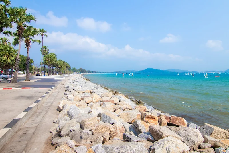 พาหมาเที่ยวสัตหีบมัดรวมหาดน้ำใส คาเฟ่ ทริปเรือ Pet Friendly ใกล้กรุงเทพ