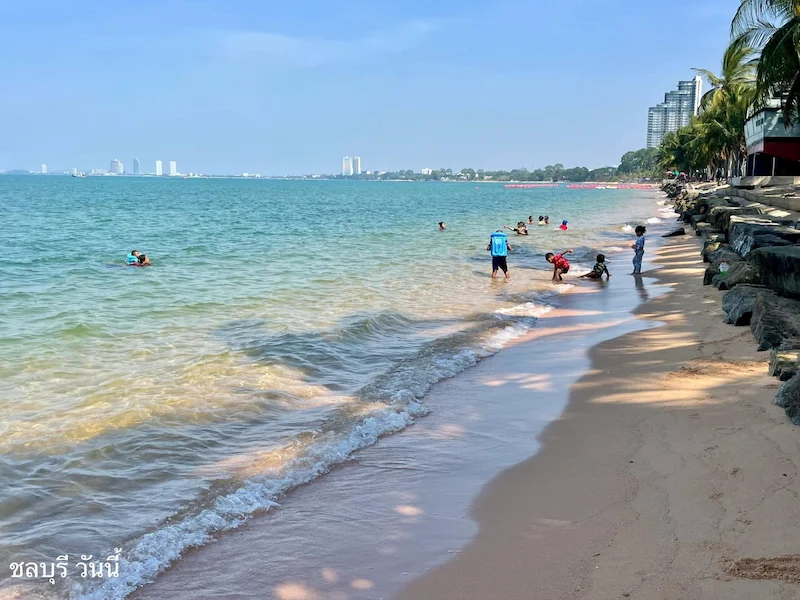 พาหมาเที่ยวสัตหีบมัดรวมหาดน้ำใส คาเฟ่ ทริปเรือ Pet Friendly ใกล้กรุงเทพ