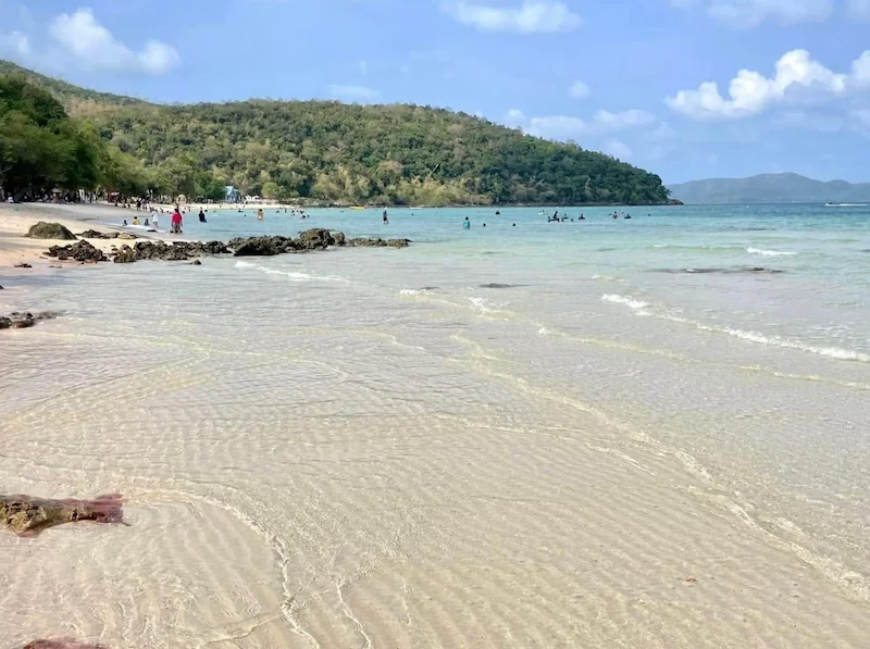 พาหมาเที่ยวสัตหีบมัดรวมหาดน้ำใส คาเฟ่ ทริปเรือ Pet Friendly ใกล้กรุงเทพ