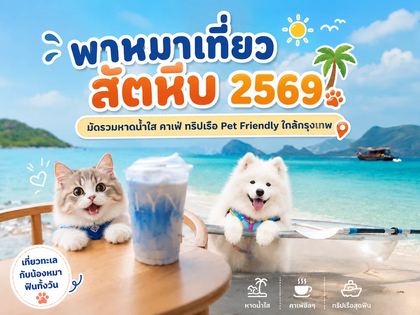 พาหมาเที่ยวสัตหีบมัดรวมหาดน้ำใส คาเฟ่ ทริปเรือ Pet Friendly ใกล้กรุงเทพ
