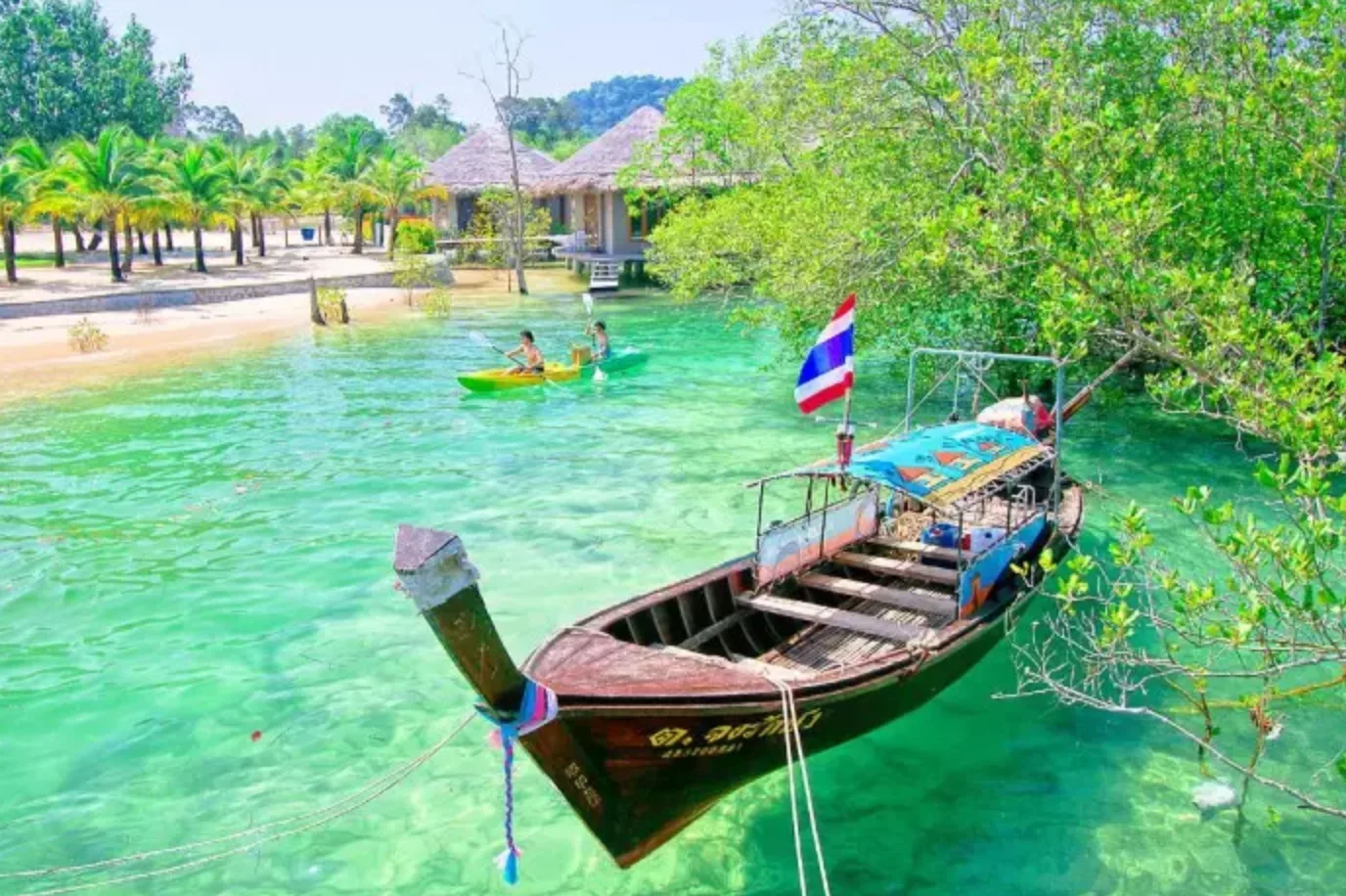 koh-payam-ระนอง-พาหมาเที่ยว.webp