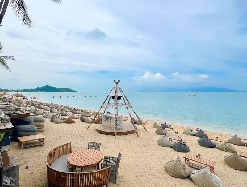 พาหมาเที่ยวเกาะสมุย 2569 มัดรวมหาด คาเฟ่ จุดชมวิว และการเดินทาง Pet Friendly