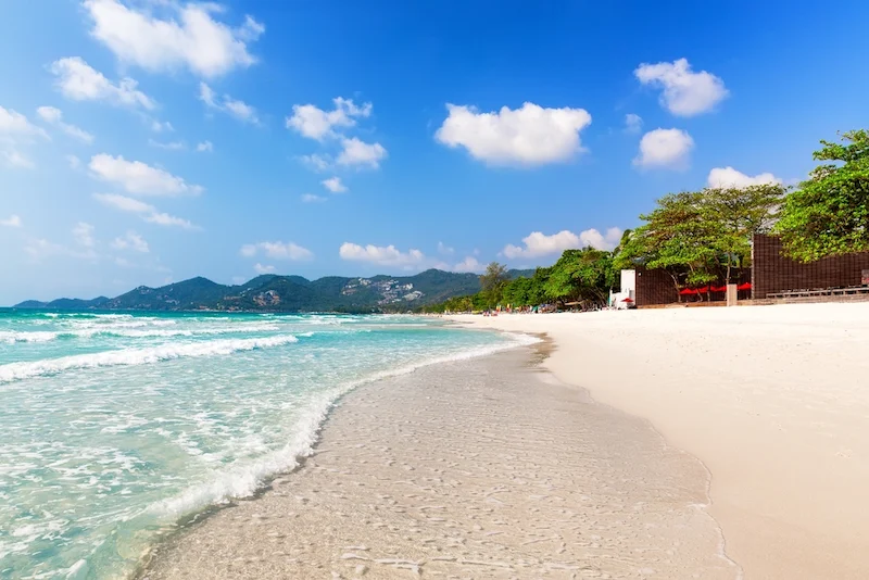 พาหมาเที่ยวเกาะสมุย 2569 มัดรวมหาด คาเฟ่ จุดชมวิว และการเดินทาง Pet Friendly