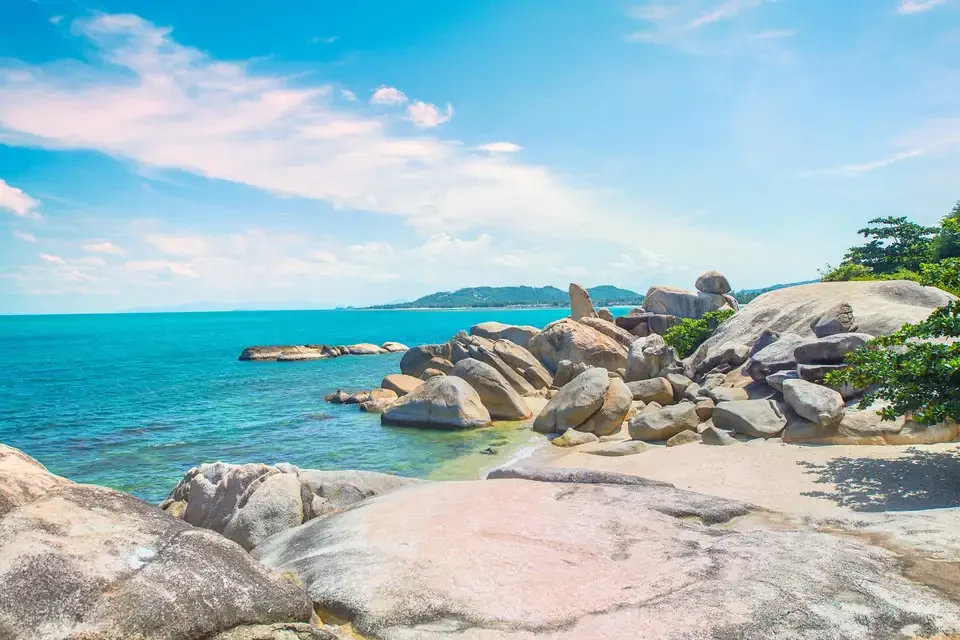 ภาพประกอบ:พาหมาเที่ยวเกาะสมุย 2569 มัดรวมหาด คาเฟ่ จุดชมวิว และการเดินทาง Pet Friendly