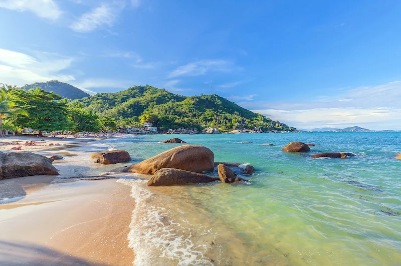พาหมาเที่ยวเกาะสมุย 2569 มัดรวมหาด คาเฟ่ จุดชมวิว และการเดินทาง Pet Friendly