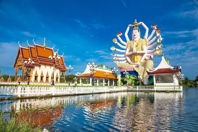 พาหมาเที่ยวเกาะสมุย 2569 มัดรวมหาด คาเฟ่ จุดชมวิว และการเดินทาง Pet Friendly