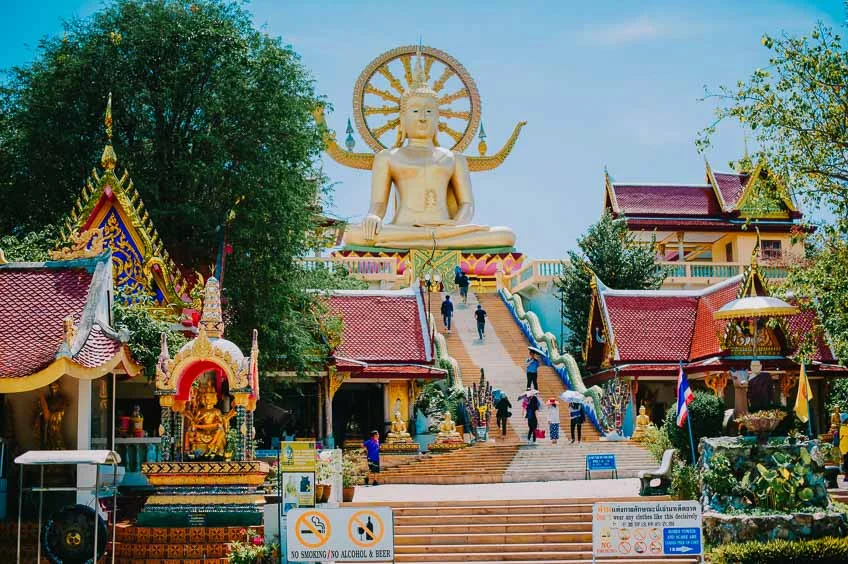 พาหมาเที่ยวเกาะสมุย 2569 มัดรวมหาด คาเฟ่ จุดชมวิว และการเดินทาง Pet Friendly