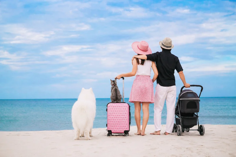 พาหมาเที่ยวเกาะสมุย 2569 มัดรวมหาด คาเฟ่ จุดชมวิว และการเดินทาง Pet Friendly