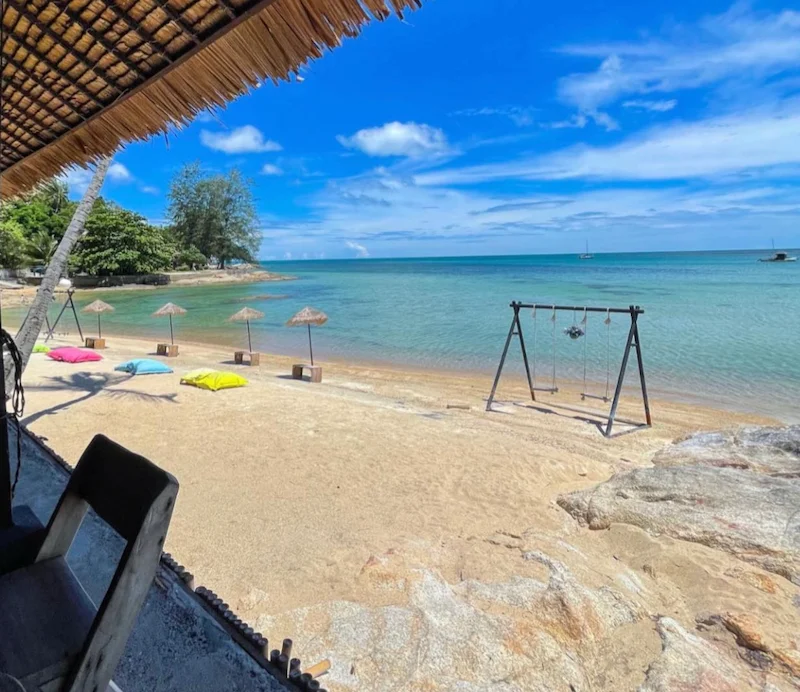 พาหมาเที่ยวเกาะสมุย 2569 มัดรวมหาด คาเฟ่ จุดชมวิว และการเดินทาง Pet Friendly