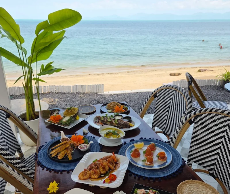 พาหมาเที่ยวเกาะสมุย 2569 มัดรวมหาด คาเฟ่ จุดชมวิว และการเดินทาง Pet Friendly