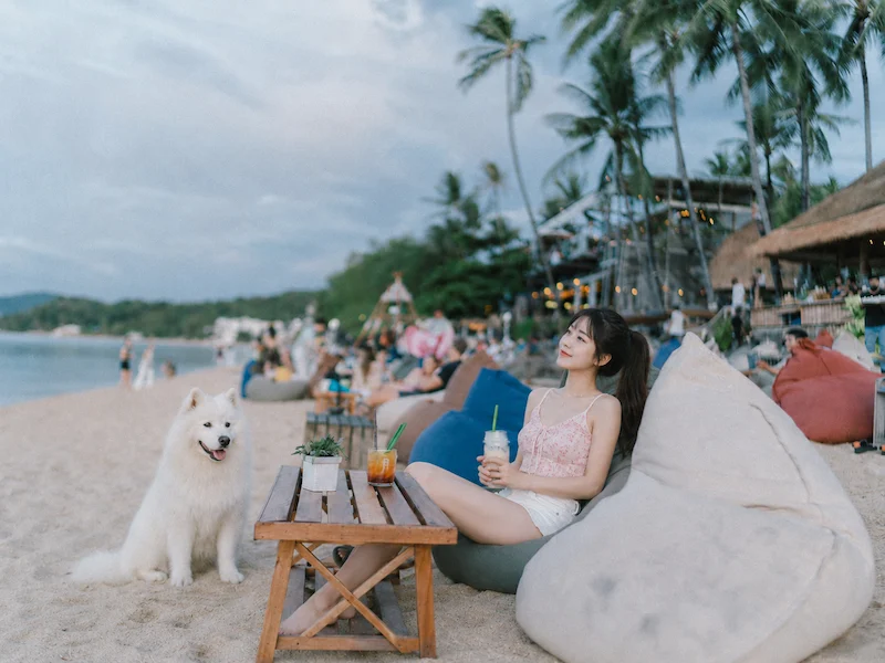 พาหมาเที่ยวเกาะสมุย 2569 มัดรวมหาด คาเฟ่ จุดชมวิว และการเดินทาง Pet Friendly